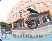 Sean Ricany Staff x PeepGame edit